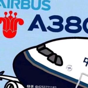 一架A380头像