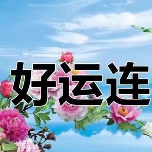 芝麻开花节节高头像