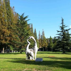 抖个小机灵 头像