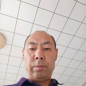 老杨头像