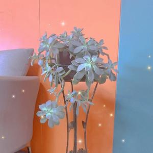 向日葵头像