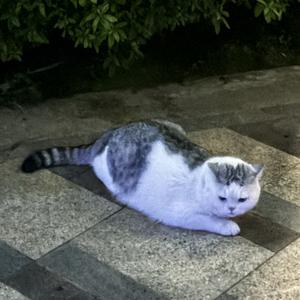 小月亮满煮生活头像