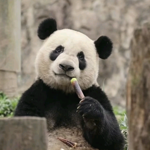 我的名字头像