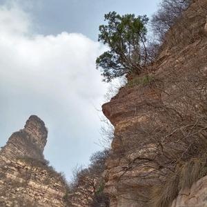 一路都是风景头像