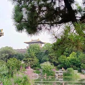 挥别昨天158头像