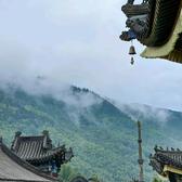 认真de菠萝头像