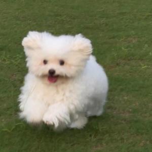树中自有颜如玉头像