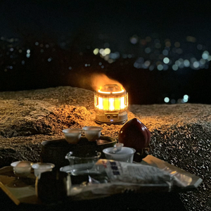 提钱头像