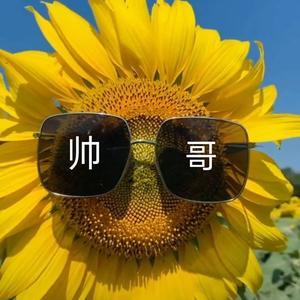 KK君讲电影头像