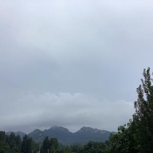 哈哈头像