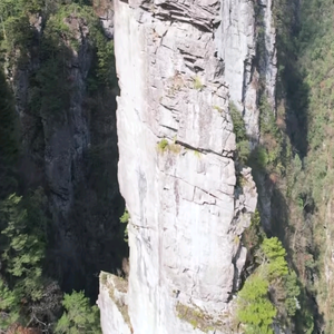 荒野干饭王头像