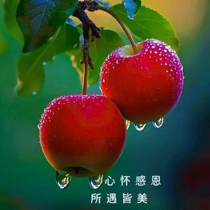 衡水小哥头像