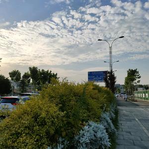 快马加鞭陪跑师头像