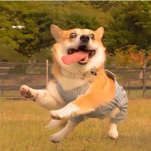 非由影旅头像