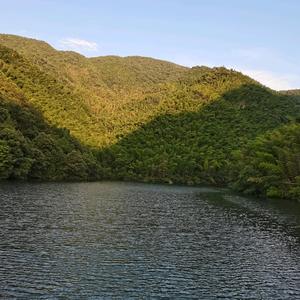 黑色毛衣头像