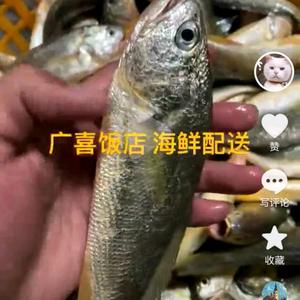 潮汕浅海本港海鲜配送头像