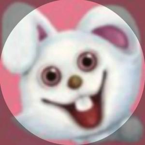飞狐啊兔头像