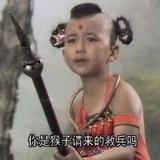 杰西学功夫头像
