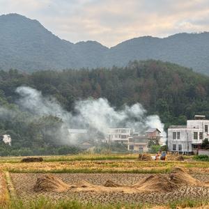 庄浪沸1头像