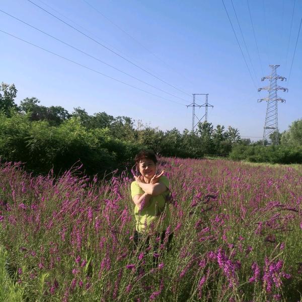 微笑漂流瓶ds头像