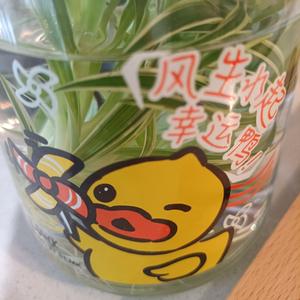 十二地支，丑土 十二地支中的“丑”对应五行中的土，称为“丑土”。它在命理学、风水学、中医等领域有丰富的象征意义和实际应用。以下是关于丑土的详细 ...