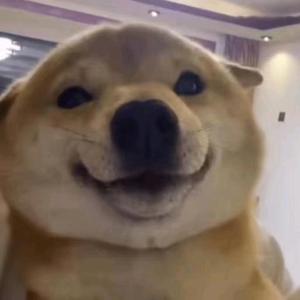 而立之年不为期头像