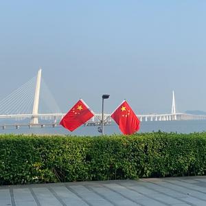 老张霞光万里头像