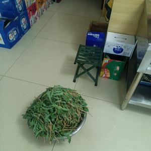 达不溜头像