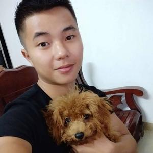 努力搬砖头像