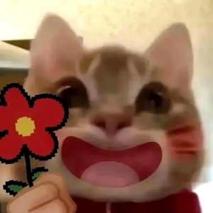 一个大不溜头像