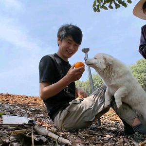 小小沫泽头像