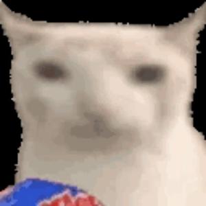 9875万人赞了你的作品头像