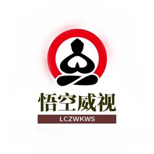 悟空威视LCZWKWS智能家庭旗舰店头像