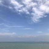 乘风破浪的小王908头像