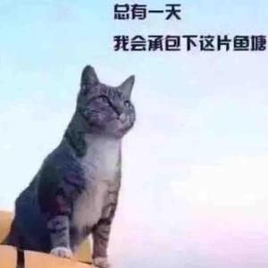 M喵不会微笑M头像