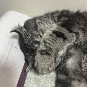盼退休头像