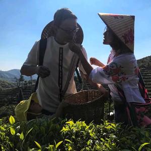 普洱市思茅区茶田农庄体验馆头像