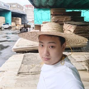 小马拉大车头像