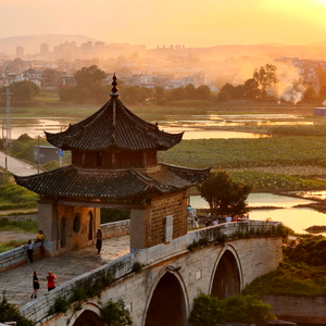 炮哥讲旅行头像