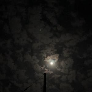川川爱唱歌头像
