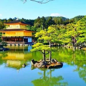 解闷之曲头像