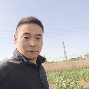 小小清龙头像