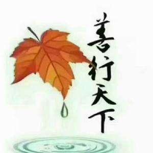 R2午夜飞雪头像