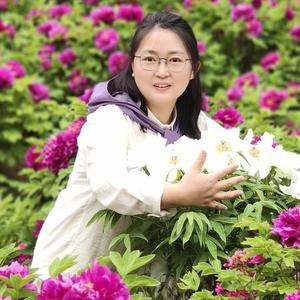 幸运的小杨头像
