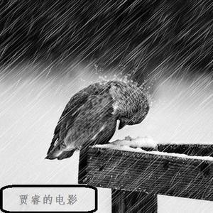 bamboo年年头像