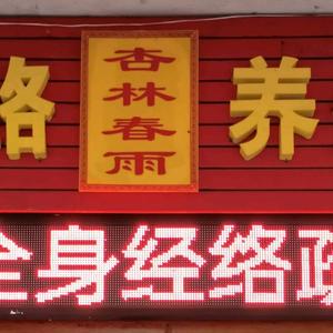 杏林春雨经络养生头像