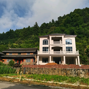 龙妹子建房记头像