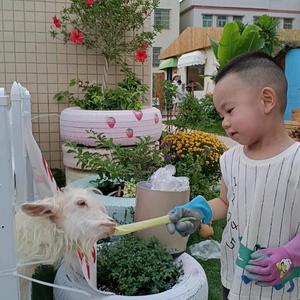 开心就好了头像