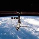 公知是褒义词 头像