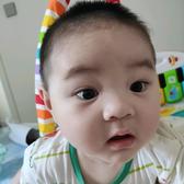 豆豆得日常头像